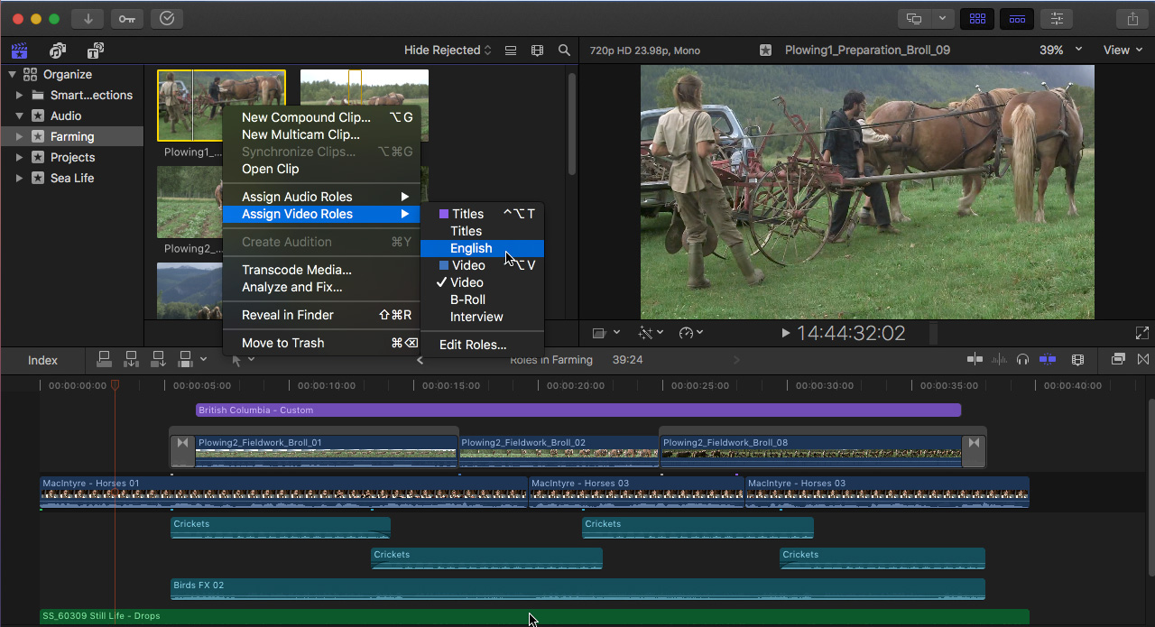 apple final cut pro tutorials free download